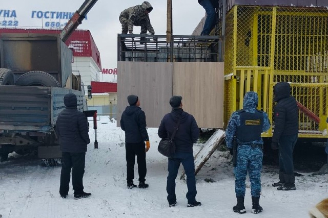 Нижневартовский коммерсант не уследил за своими медведями и уехали они от него в Татарстан